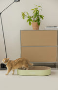 Load image into Gallery viewer, Large Replaceable Scratcher - Green