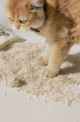 Load image into Gallery viewer, TOFU Cat Litters - Classic Creamy