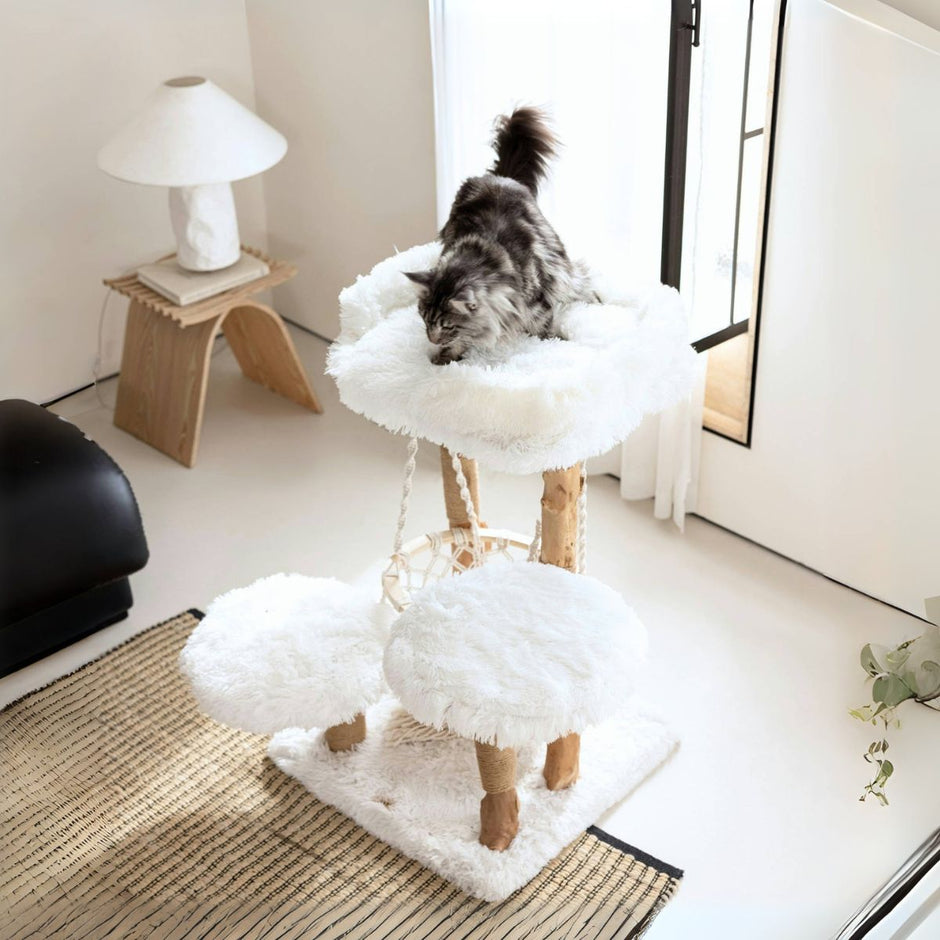 Long-haired cat lounging on a three-layer white wooden cat tree with fluffy platforms and sisal-wrapped posts in a modern living room