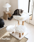 Load image into Gallery viewer, Purrista three-layer white wooden cat tree with soft fluffy platforms and a hammock, featuring a long-haired grey cat lounging by a sunny window