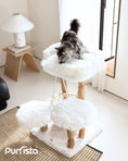Load image into Gallery viewer, Purrista three-level white wooden cat tree with soft round platforms, rope hammock, and sisal posts, featuring a fluffy grey cat playing on the top perch near a window