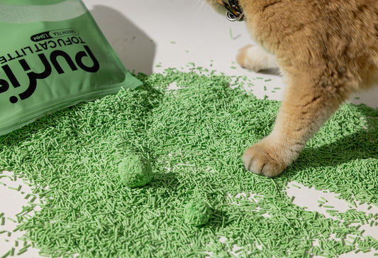 Purrista Green Tea Tofu Cat Litter: The Natural Choice for Australian Cat Owners
