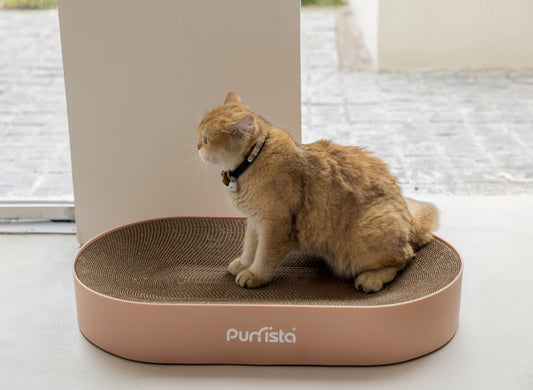 Large Replaceable Scratcher - Pink