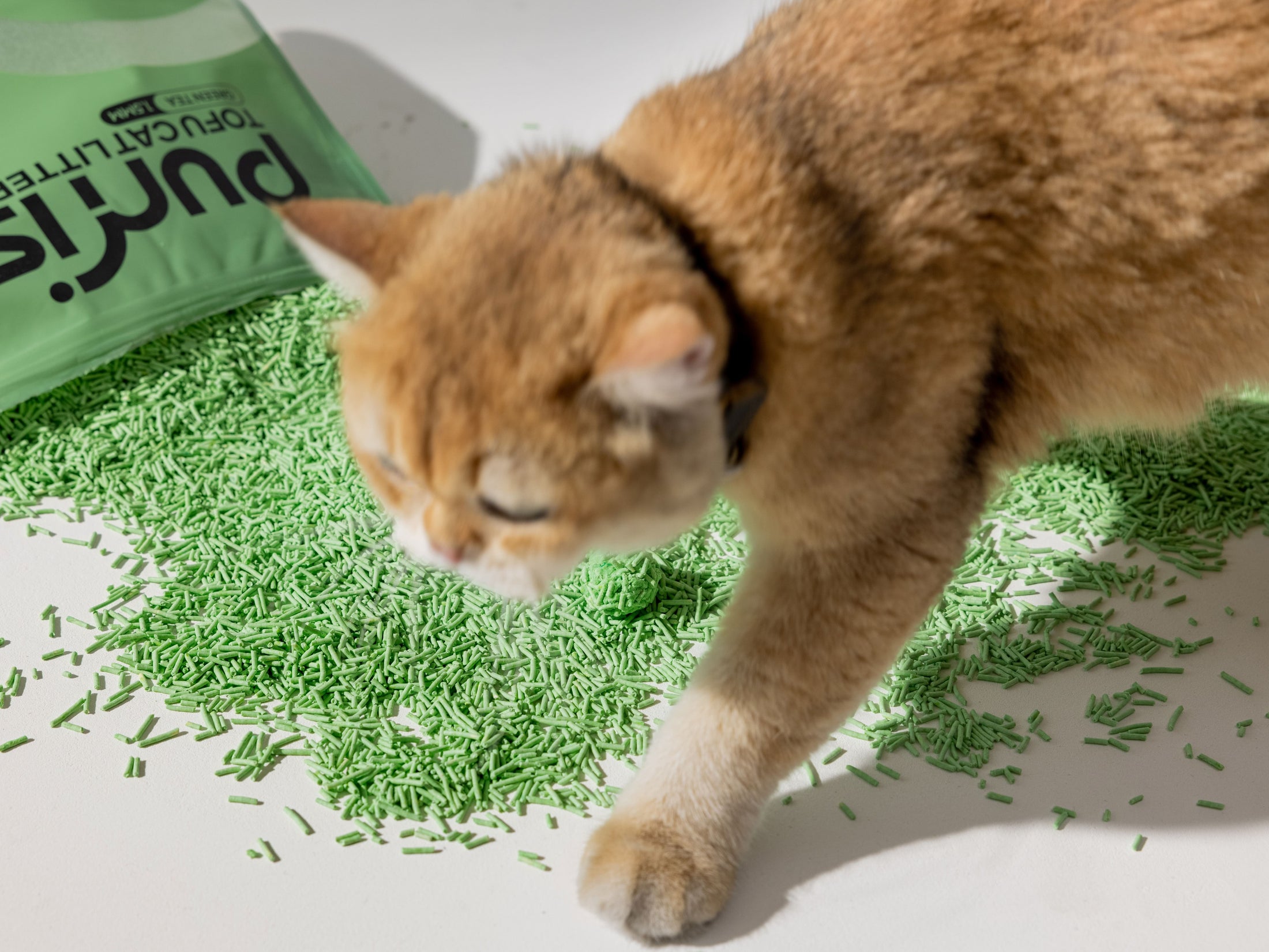 TOFU Cat Litters - Green Tea