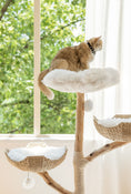 Load image into Gallery viewer, Natural Wood Basket Cat Tree (Three-Layer)
