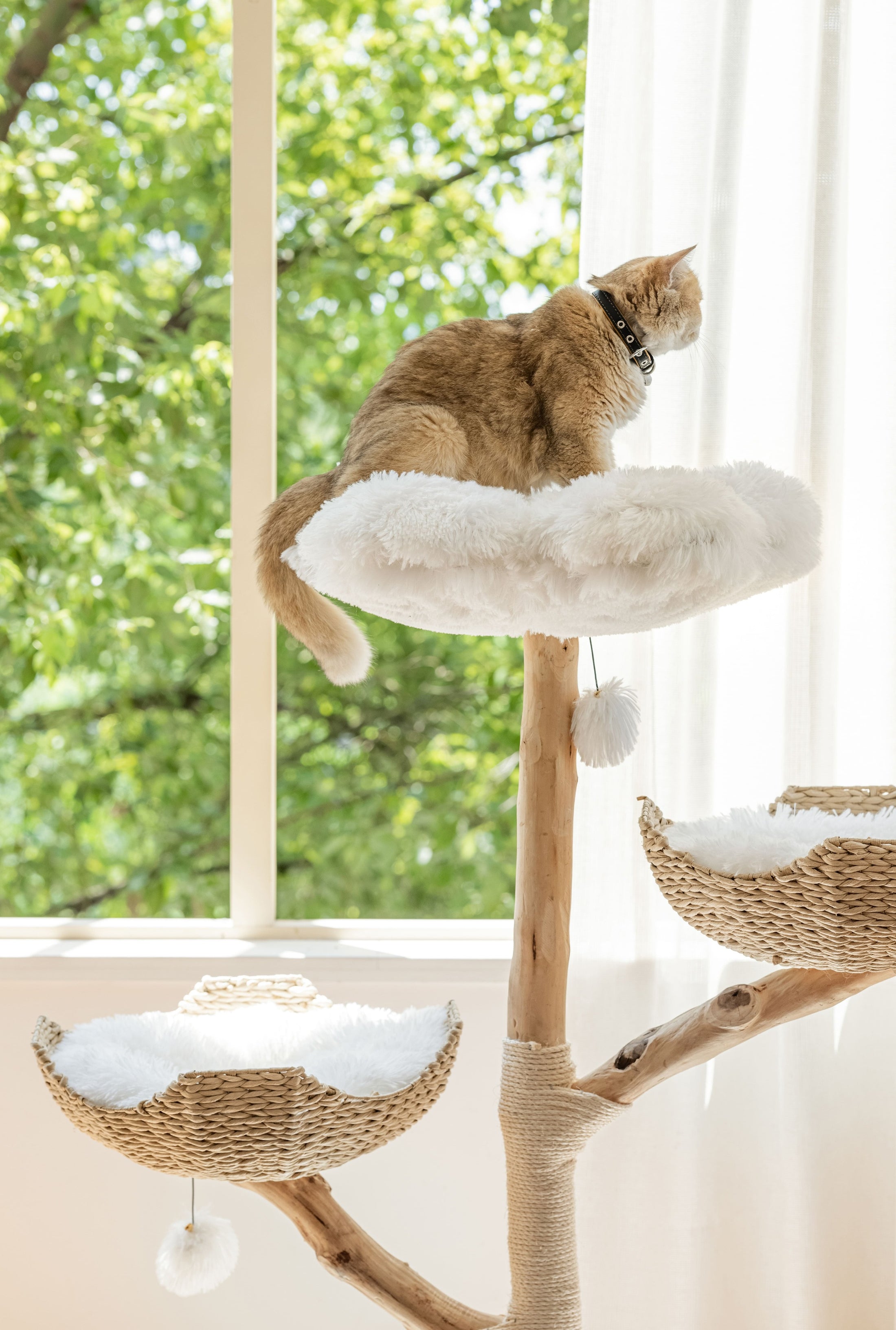 Natural Wood Basket Cat Tree (Three-Layer)