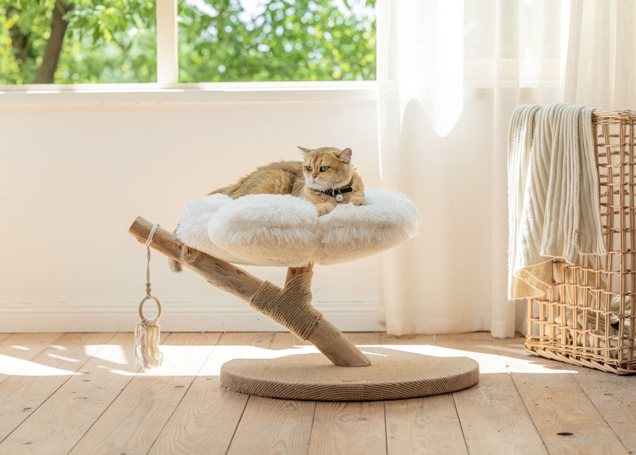 Natural Wood Cloud Cat Tree (Single-Layer)